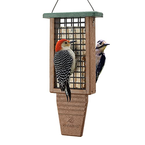 Best Bird Feeders for Woodpeckers