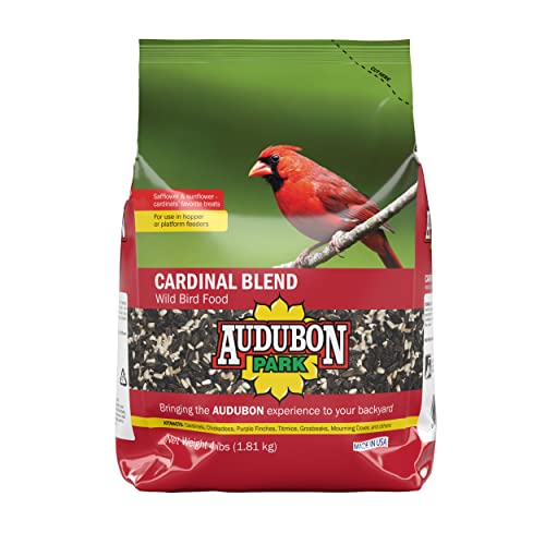 Best Bird Seed to Attract Cardinals