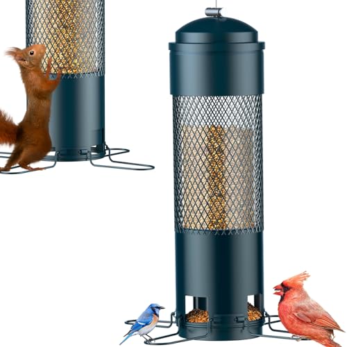 Best Feeder for Cardinals