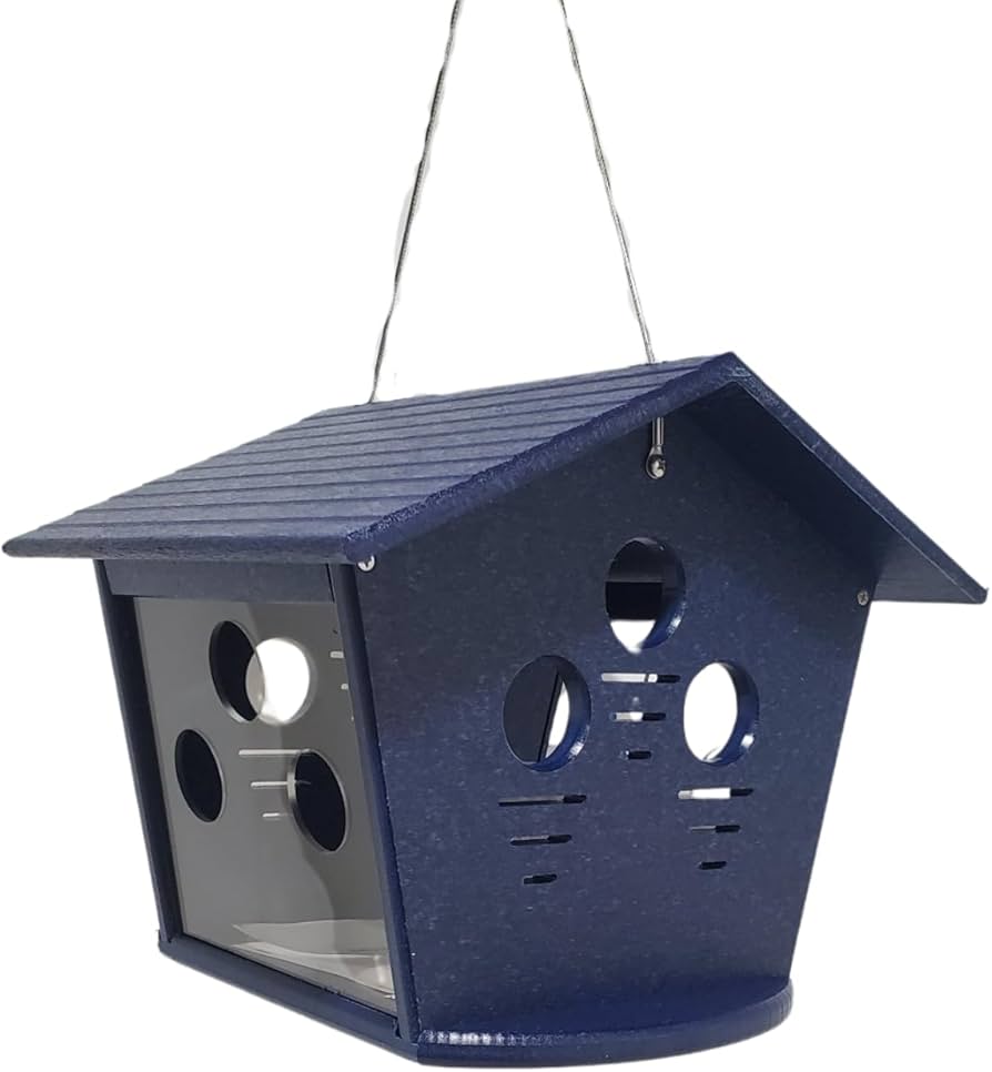 Bluebird Feeders That Keep Starlings Out