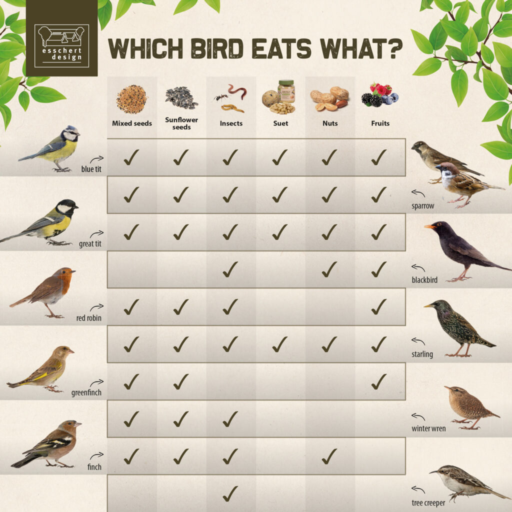 How Much Do Birds Eat
