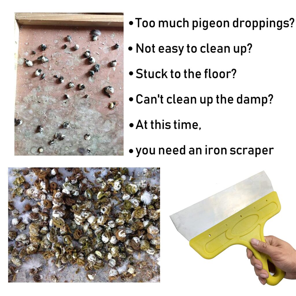 How to Clean Pigeon Poop