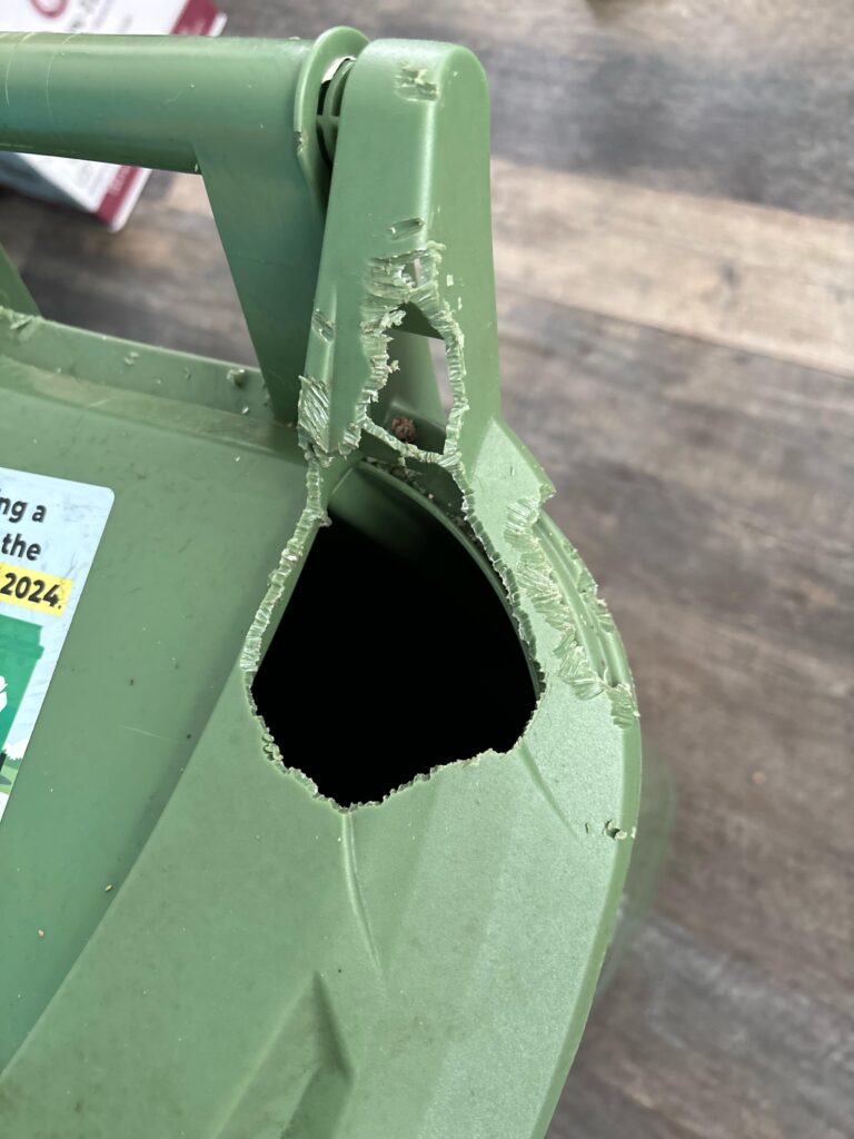 How to Keep Squirrels Out of Garbage