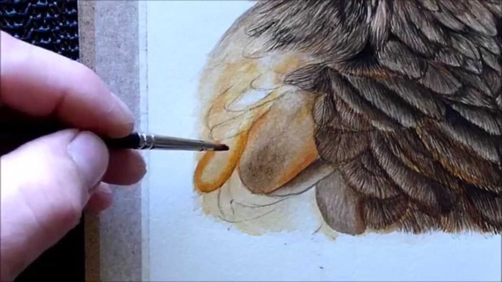 How to Paint Feathers on Birds
