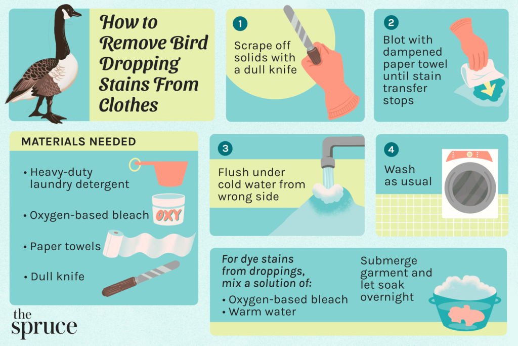 How to Remove Pigeon Poop